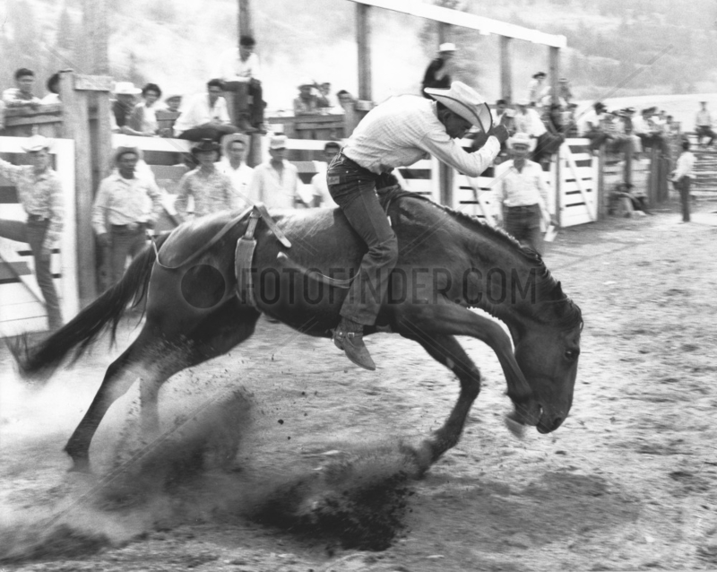 Rodeo