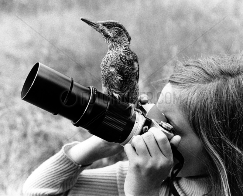 Vogel sitzt auf Objektiv
