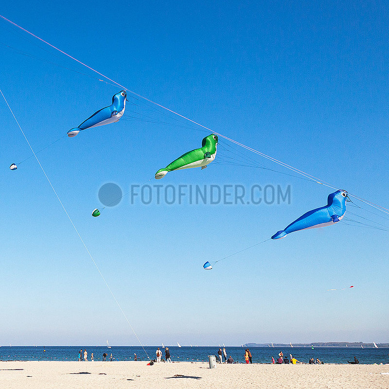 Kite Festival Travemuende 2014