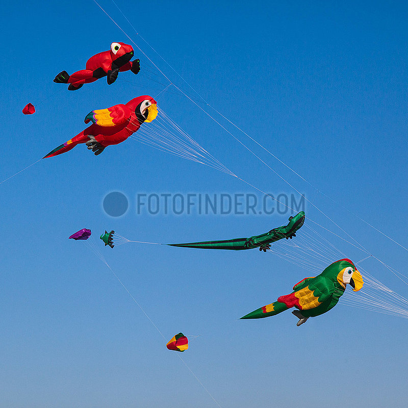 Kite Festival Travemuende 2014