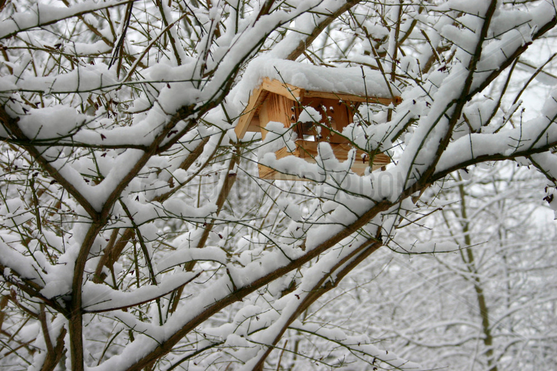 Vogelhaus in eine Schneelandschaft