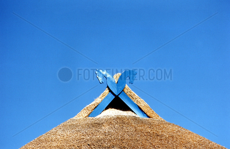 Dach eines Reedhaus