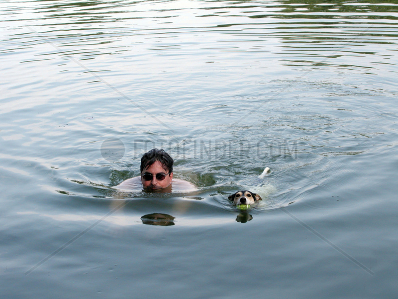 Jack Russell Terrier schwimmt mit Herrchen