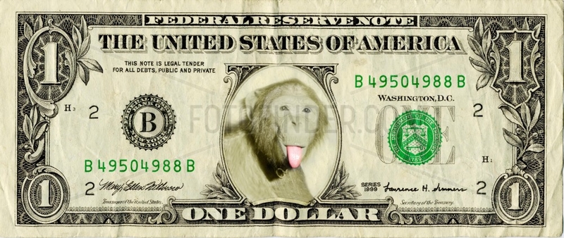 Dollar Geldschein Waehrung Affe