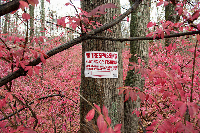 No trespassing sign posted on tree trunk