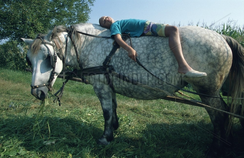 Maedchen ruht sich auf Pferd auf