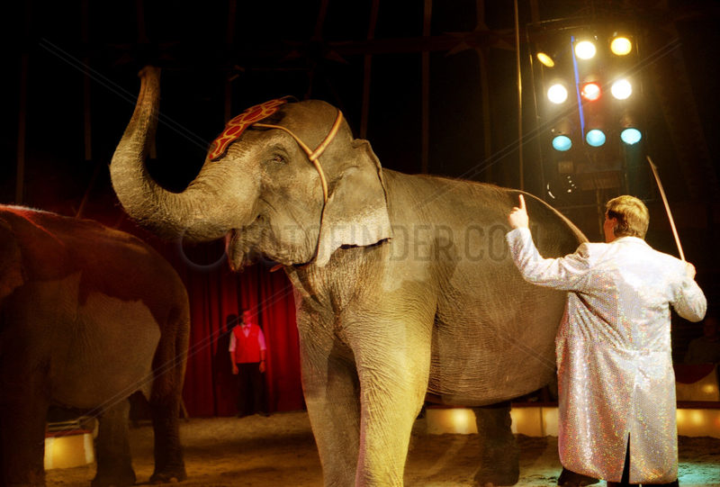 Berlin,  Elefantenshow im Circus Charivari