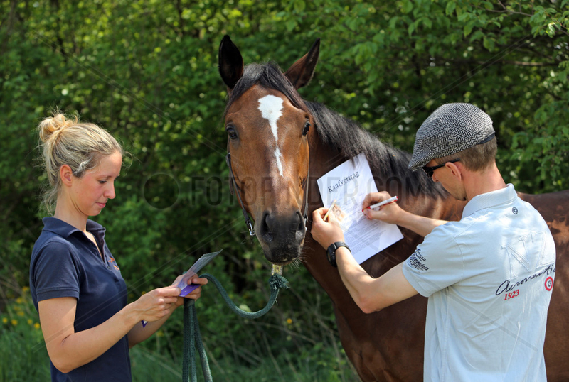 Koenigs Wusterhausen,  Deutschland,  Mann unterzeichnet den Kaufvertrag fuer ein Pferd