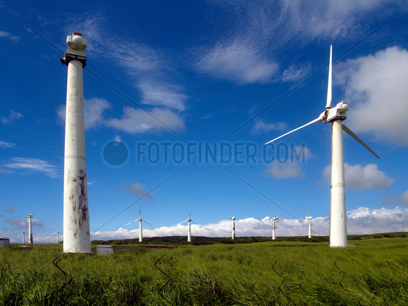 Windpark auf Big Island