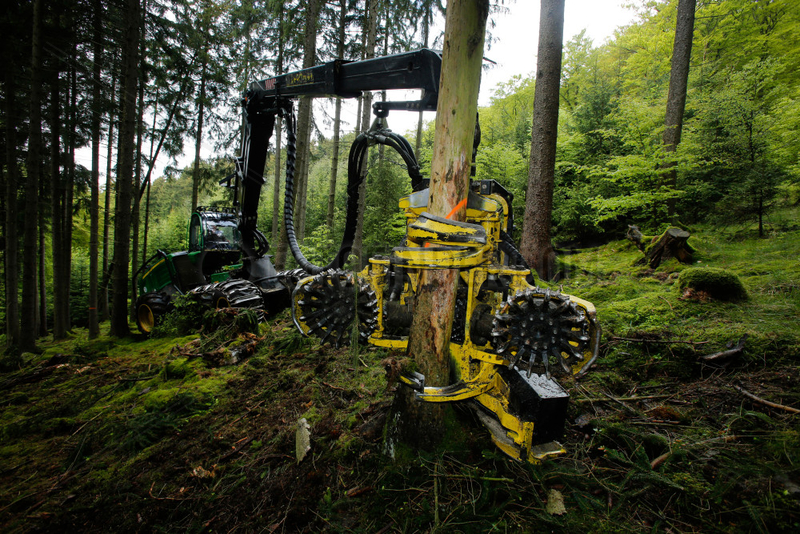 Bad-Berleburg,  Deutschland,  ein Holzernter Harvester faellt Baeume im Wald