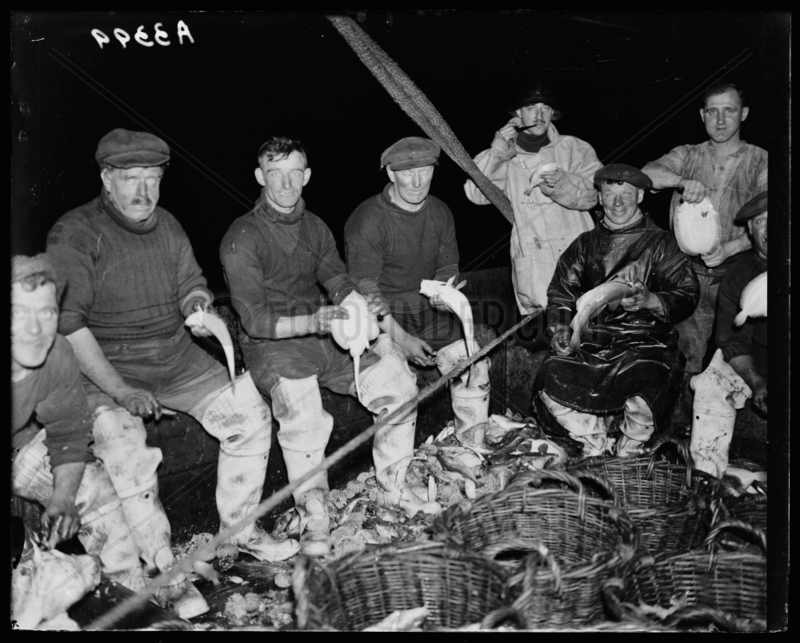 Gutting fish,  c 1930.