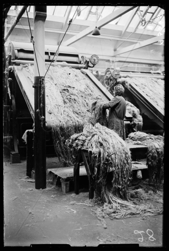 Mill worker processing jute,  Scotland,  1932.