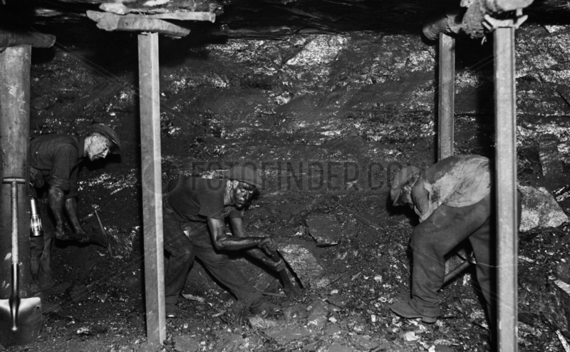 Miners digging for coal,  South Wales,  24 June 1931.
