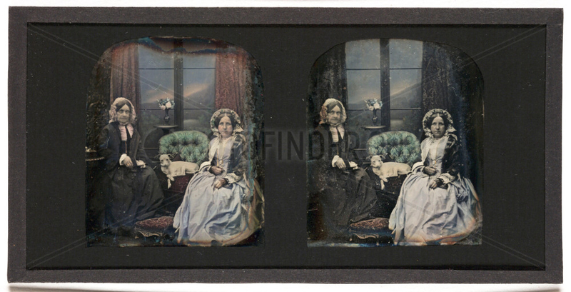 Stereo-daguerreotype of Mrs Antoine Claudet,  c 1853.