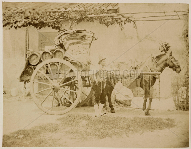 A deflated balloon being carried on a horse-drawn cart,  1885-1890.