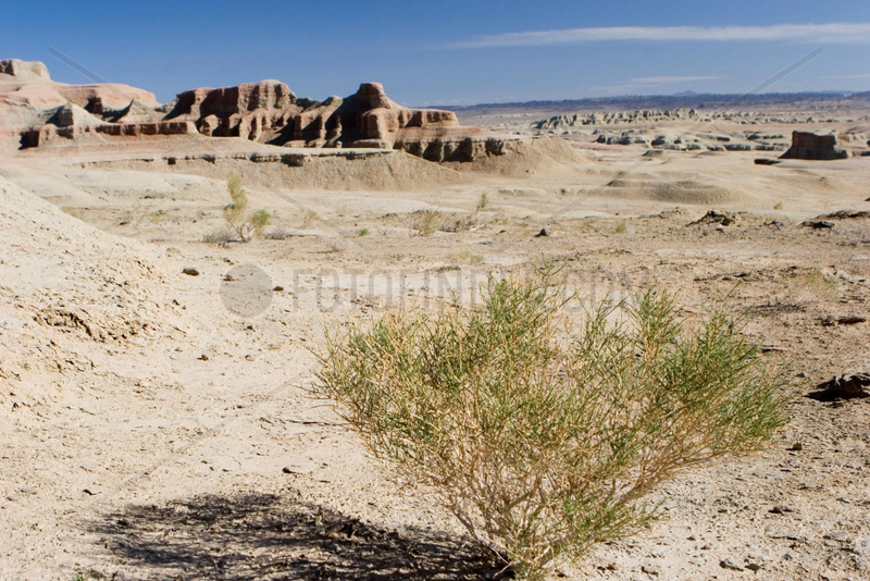 Devil City in der Wueste Gobi | desert of Gobi Devil City