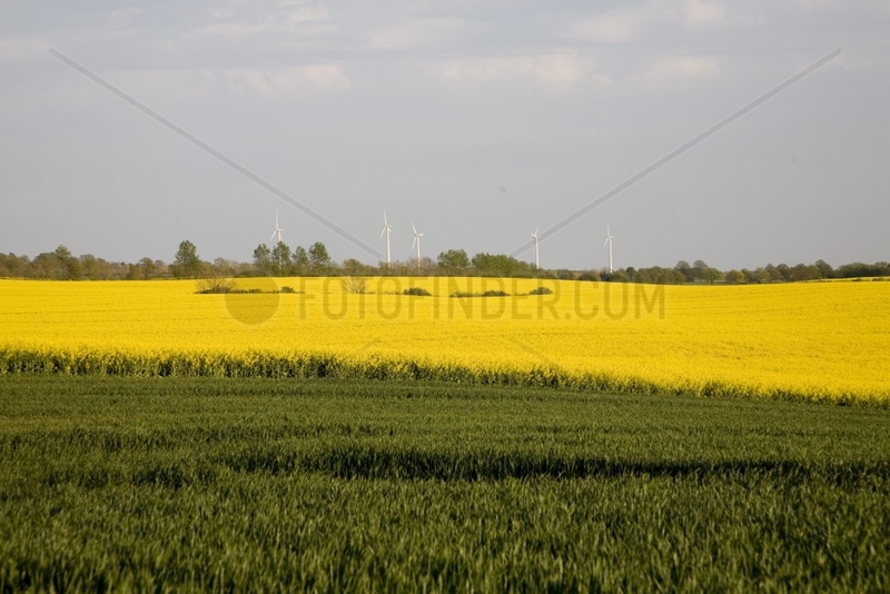 wind energy plant in Western Pomerania