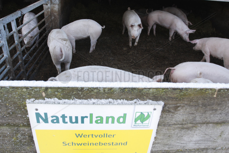 Naturland Schweinezucht