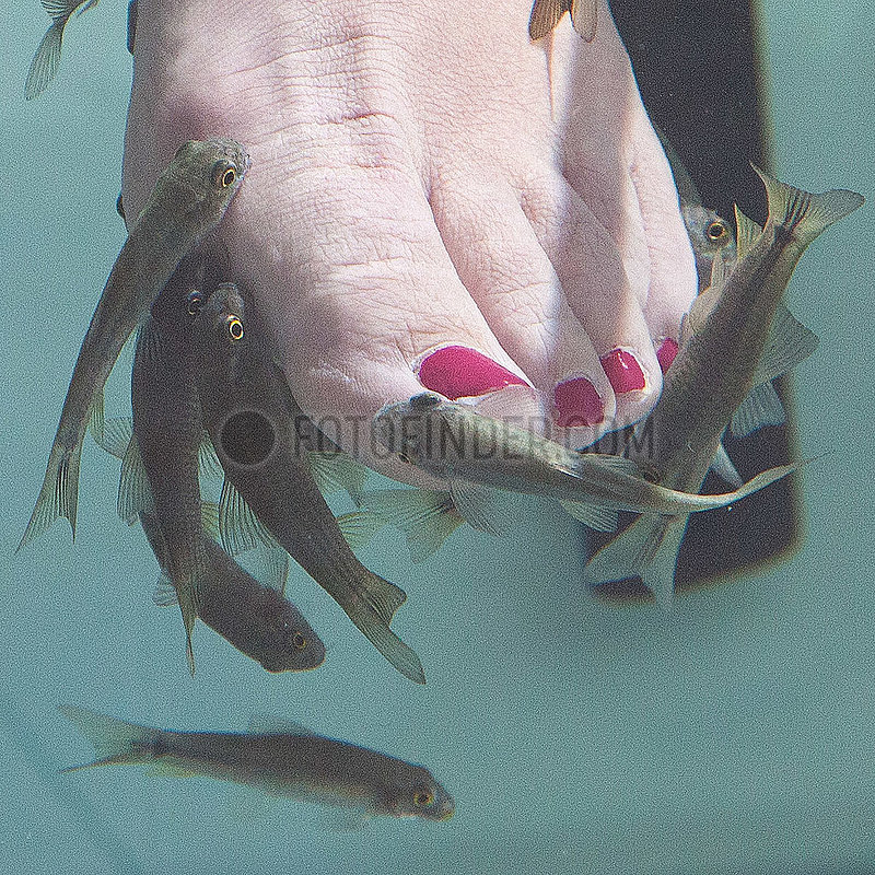 Tourist with doctor fishes - Playa Blanca,  Lanzarote