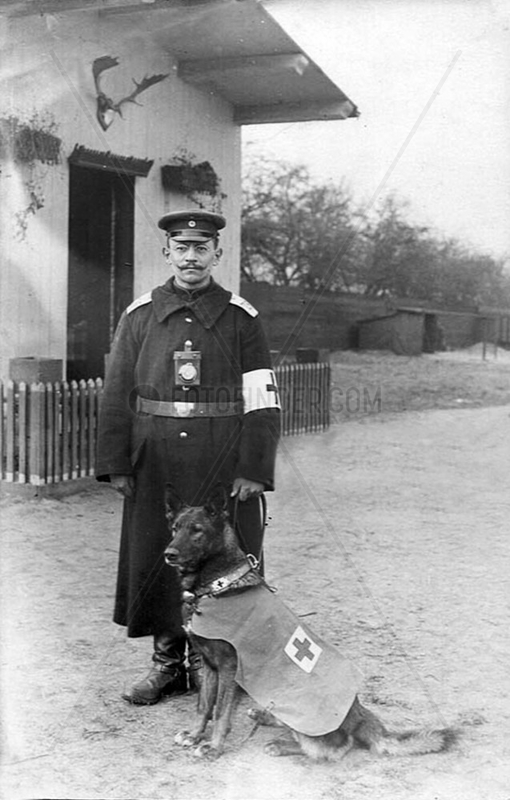 Deutschland,  Erster Weltkrieg,  Sanitaeter mit Rettungshund,  ca. 1915