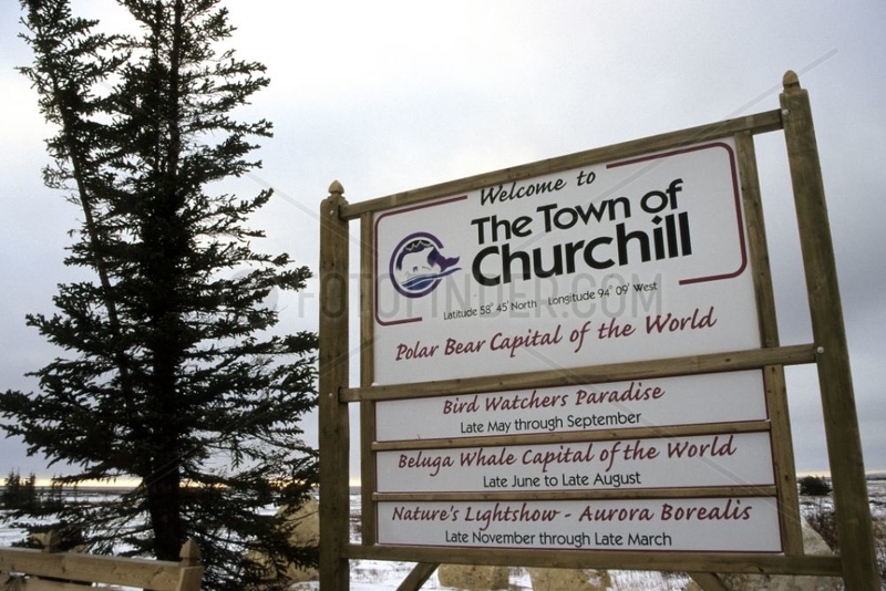 Churchill Capital of the polar bear Canada