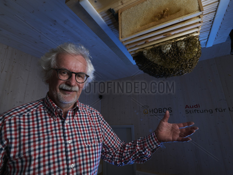 Apidologie - Portrait of Professor Jurgen Tautz,  Hobos,  University of Wuerzburg,  next to the colony installed in the experimental building. This experience allows for constant monitoring by thermal,  infrared and 3D cameras of the bees' activities in the nest and also their sorties throughout the year.