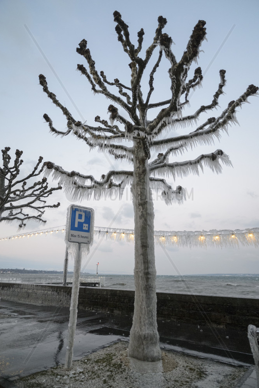 Ice sculptures on the shores of Lake Geneva during the cold wind episode of 17 January 2017,  Versoix,  Switzerland
