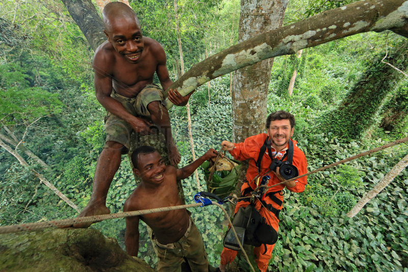 The pygmy canopy honey. Honney hunters and the photographer Eric Tourneret. Sangha,  Congo