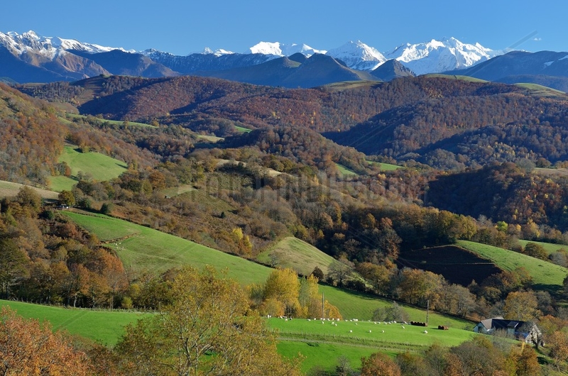 Wooded countryside of the Basque Country in autumn: province of Soule,  Pyrenees,  France