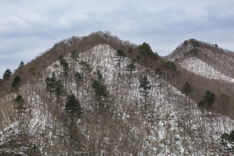Mount Tanigawa under snow,  Gunma,  Japan