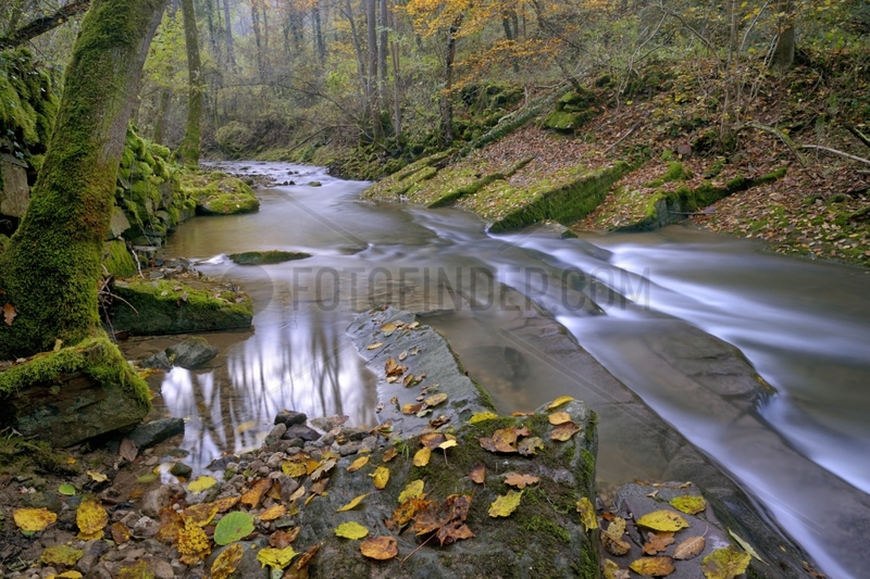 Montenach creek in autumn - Lorraine France