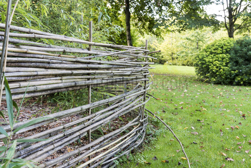 Bamboo palisade in a garden,  autumn,  Somme,  France
