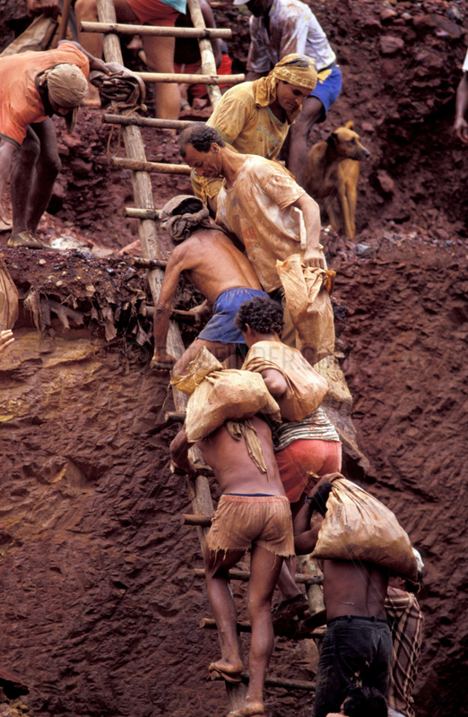 Gold seekers climbing precarious ladder,  Amazon rainforest,  Brazil. Dangerous conditions of work,  no safety gears,  unstable,  insecure,  danger,  tough labor,  hard labor,  unhealthy labor,  workers,  poverty,  unemployment,  dangerous labor,  dangerous work