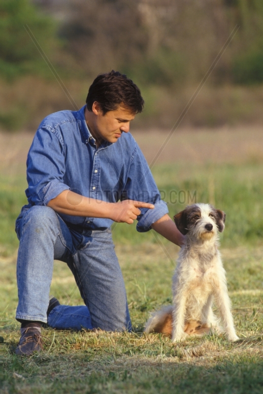 Homme donnant un ordre à un chien bâtard France