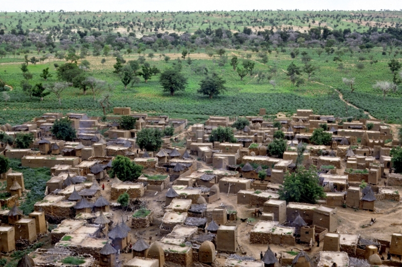 Village houses and granaries Mil Teli Dogon Mali