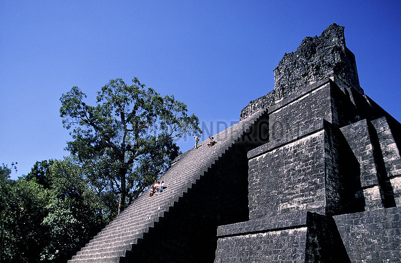 RUTA MAYA