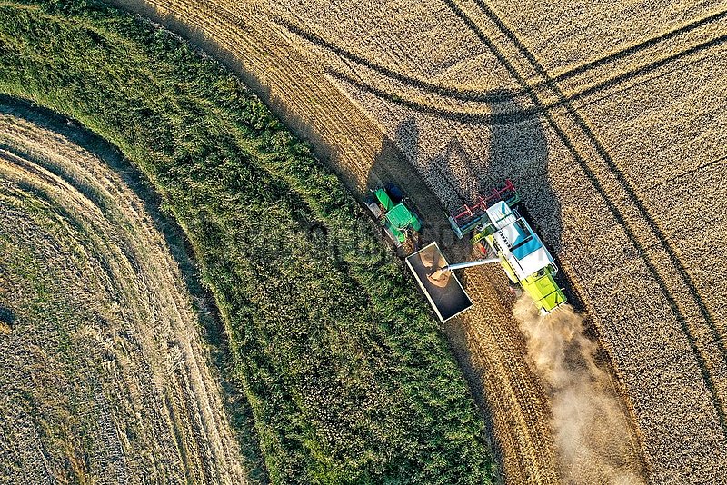 Getreideernte-Drohnenaufnahme Kaiser-Wilhelm-Koog