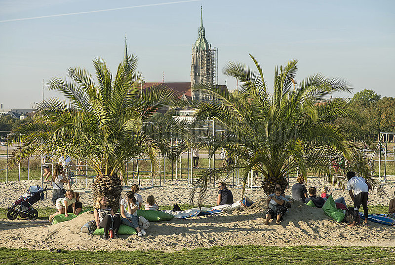 Palmengarten auf der Theresienwiese,  Aktion Sommer in der Stadt,  Muenchen,  September 2020
