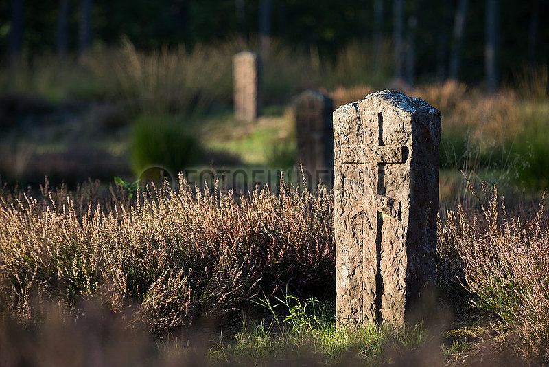 Deutschland,  Lohheide - Kriegsgefangenfriedhof der Gedenkstaette Bergen-Belsen. Hier liegen sowjetische Soldaten,  die die Nazis zu Tode gequaelt haben