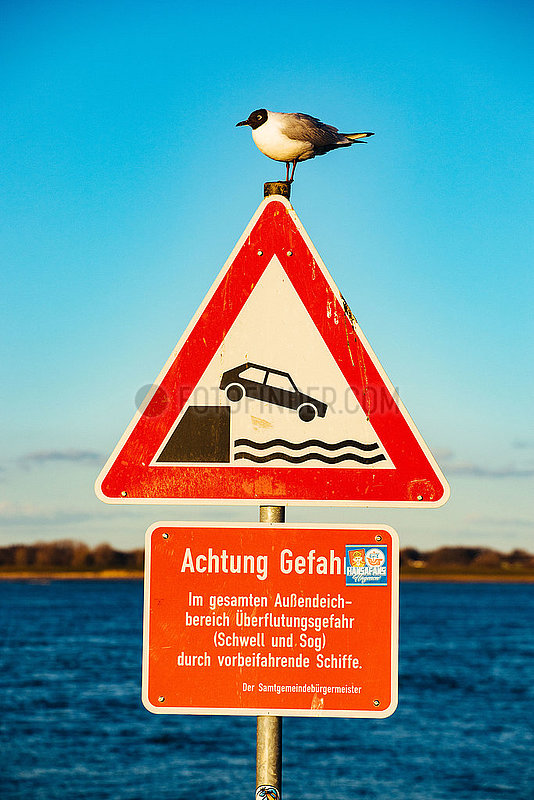 Lühe Anleger an der Elbe: Schild mit Seevogel