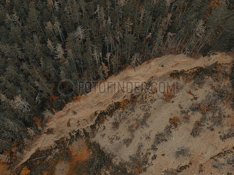 Deforestation Witzenhausen