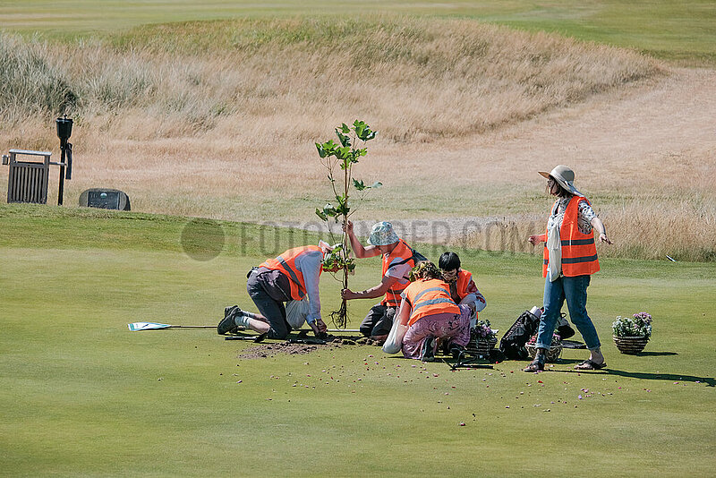 Sylt: Letzte Generation pflanzt Blumen auf Golfplatz Budersand