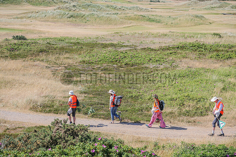 Sylt: Letzte Generation pflanzt Blumen auf Golfplatz Budersand