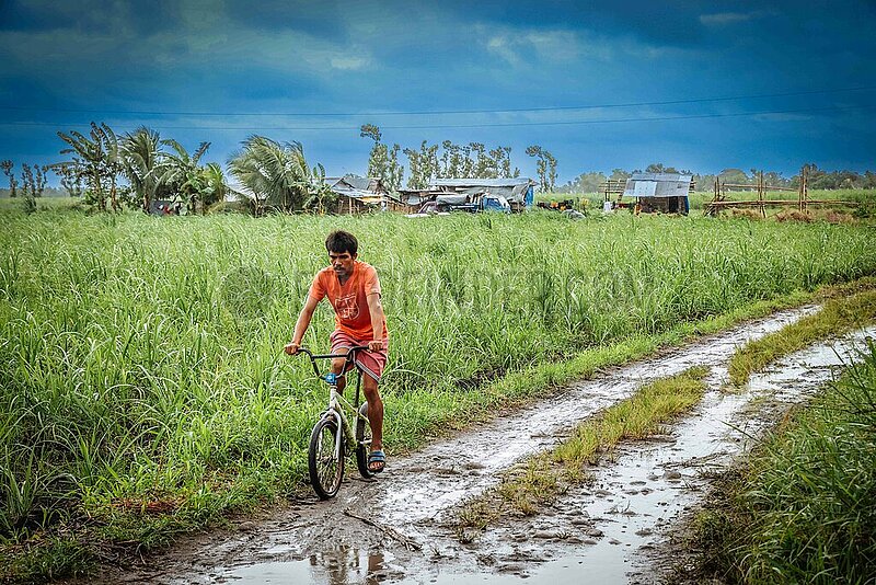 Sugar Cane Plantations at Negros