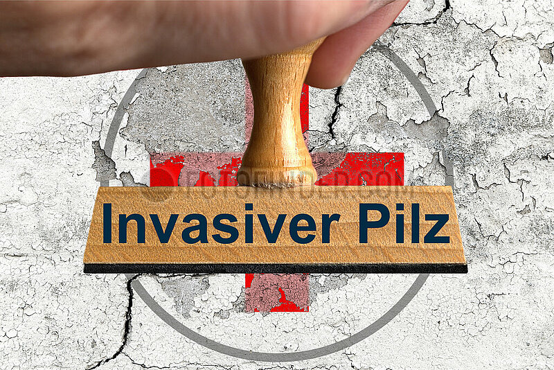 Symbolischer Stempel Invasiver Pilz