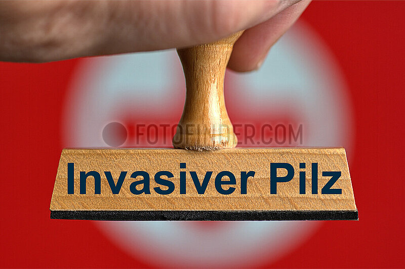 Symbolischer Stempel Invasiver Pilz