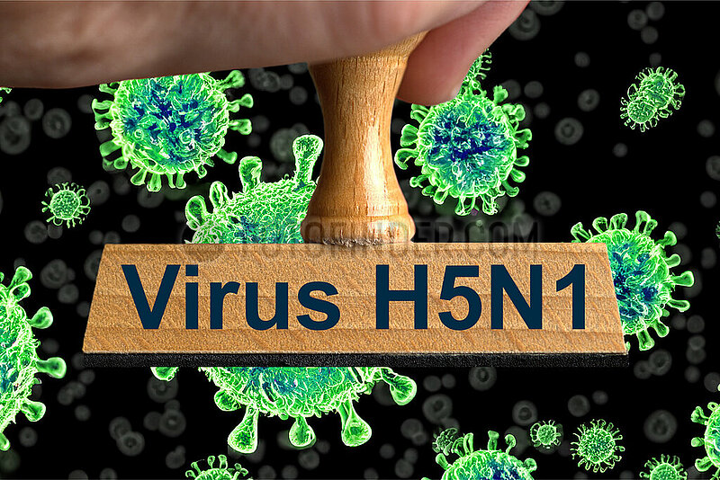 Symbolischer Stempel Virus H5N1