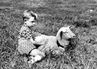 Kleiner Junge und Lamm im Gras