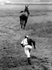 Jockey rennt seinem Pferd hinterher