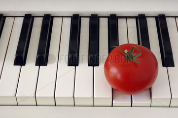 Tomate auf Klaviertasten